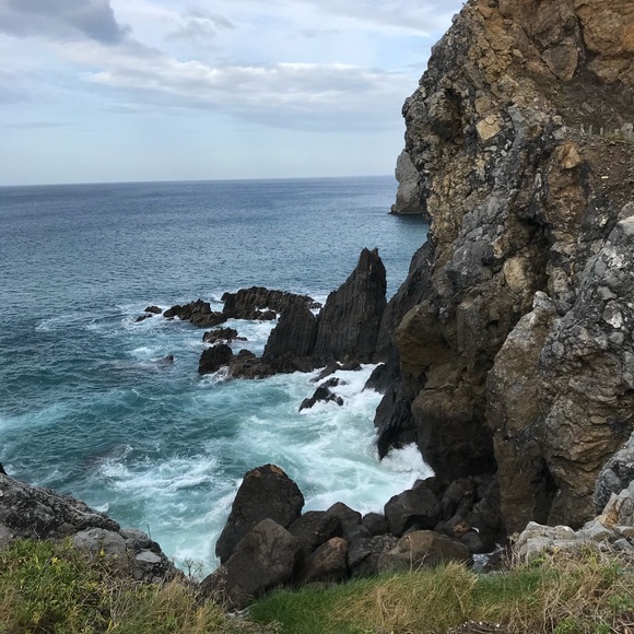 Meet your Posher, Miranda - Picture 3 of 3